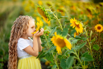 a little beautiful girl holds a sunflower in a field in summer