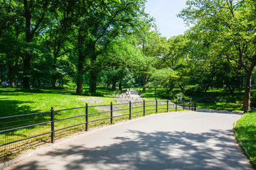central park N.Y.C.