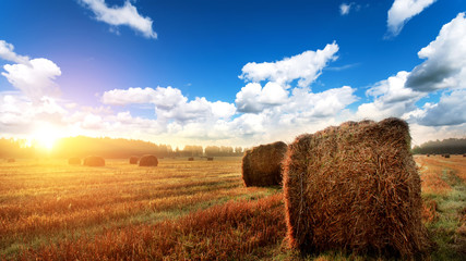Straw bales on farmland with sky and clouds on autumn sunrise.