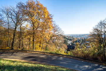 Obraz premium Colorful autumn Park with trees in Wiesbaden, Germany