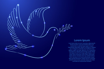International day of peace, symbol of dove with branch from the contour classic blue color brush lines different thickness and glowing stars on dark background. Vector illustration.
