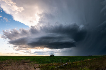 Fototapeta na wymiar Summer thunderstorm in the prairies