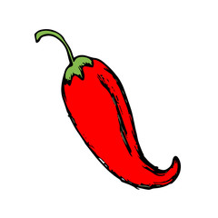 Chili Icon vector on hand drawn style