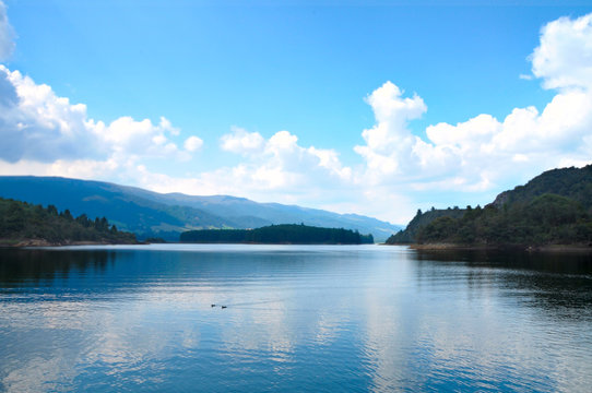 Reserva del Neusa, Colombia.