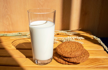 
Oatmeal cookies, a glass of milk, ears of wheat on the table on a sunny day