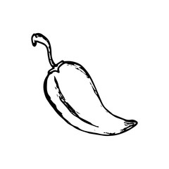 Hand drawn chili icon