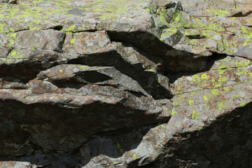 Roccia con muschi e licheni, dettagli in primo piano, sfondo naturale