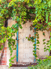 stairway to an old white door with blue fence surrounded by green branches