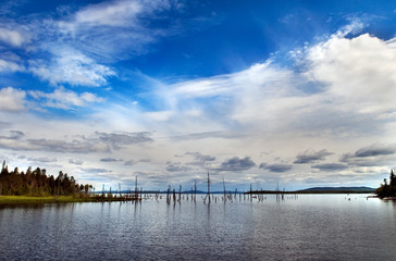 Fototapeta premium Summer on the north lake