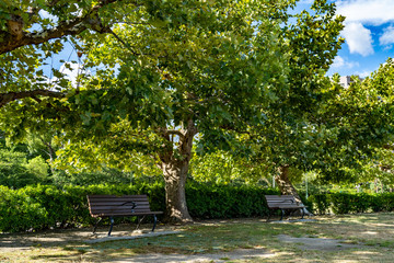 Fototapeta na wymiar 夏の涼しげな木陰のベンチ