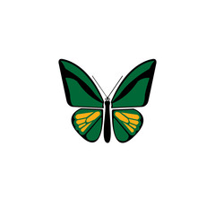 Green butterfly icon. Flat illustration of butterfly vector icon for web design