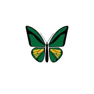 Green butterfly icon. Flat illustration of butterfly vector icon for web design