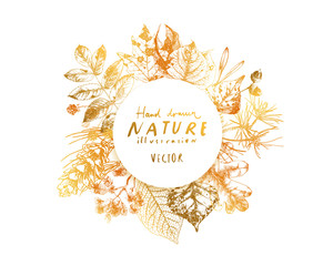 Hand drawn autumn leaves, banner template, nature illustration, botanical elements, leaves, berries, seeds and nuts