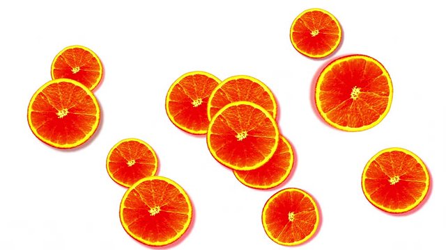 Funny colourful citrus background. Rotating and flying orange fruits grapefruit cuts on white backdrop. Copy space. Motion design animation. Red pink yellow orange color citrus slices.