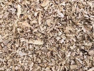 close up dry sawdust texture