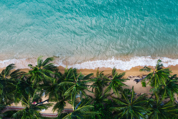 Fototapeta na wymiar Aerial scenery of picturesque coastline with turquoise water waves and green tropical palm. Bird's eye view of paradise beach shoreline of Hawaii, beautiful tourist destination for summer vacations