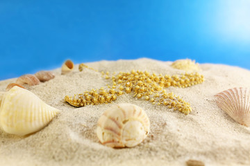 sea shells and sand