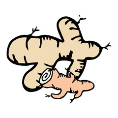 Ginger icon vector hand drawn