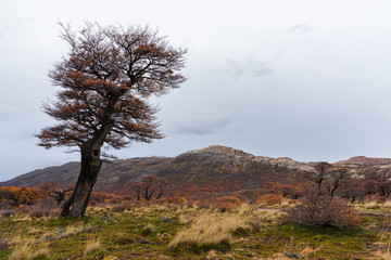 Obraz premium Stunning autumn scenery. Popular tourist attraction. The location is in the Glacier National Park of Argentina, South America.