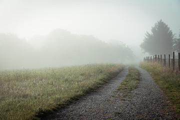 Der Weg ins Ungewisse