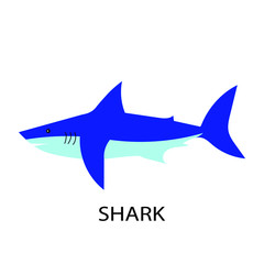 Fototapeta premium Shark on white background. Vector illustration