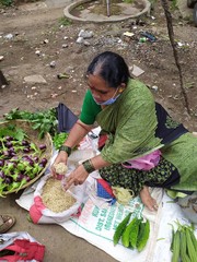 Aged lady wear face mask and selling vegetables in market yard. Measuring moth bean legumes with...