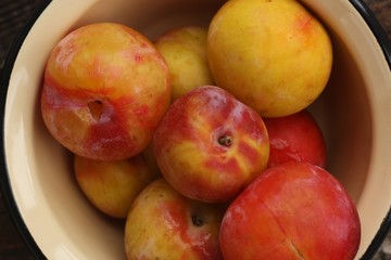 Fototapeta na wymiar Juicy seasonal plums on the table macro