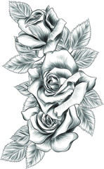 bouquet of roses and leaves to create composition pattern flowers vector illustration