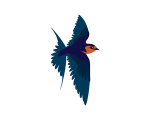 Detailed Flying Swallow Bird Illustration