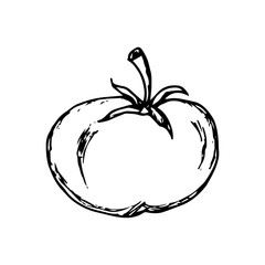 Tomato icon hand drawn