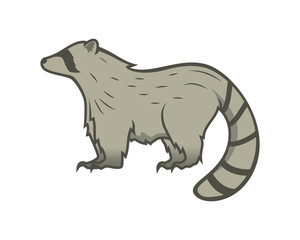 Detailed Raccoon with Standing Gesture Illustration