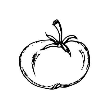 Tomato icon hand drawn