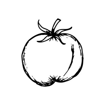 Tomato icon hand drawn