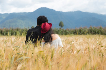 Back view of a young couple watching the sunset together in a field - Young loving couple in the middle of a golden wheat field