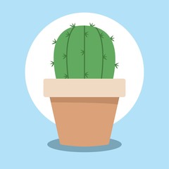 Cactus in pot. Vector illustration.