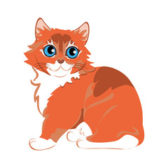 Isolated somali cat breed animals icon - Vector