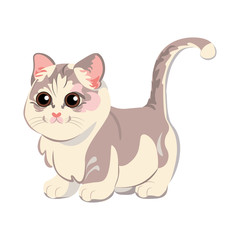 Isolated persian cat breed animals icon - Vector