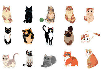Isolated set group cats breed animals icon- Vector