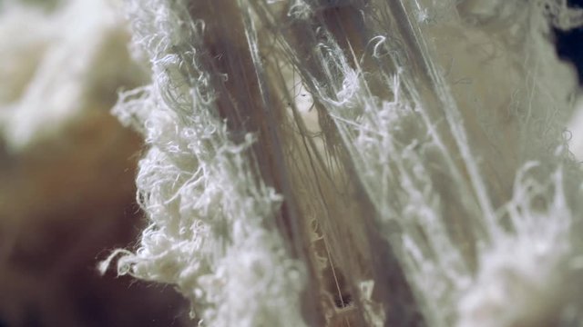 image of raw cotton. slow motion.