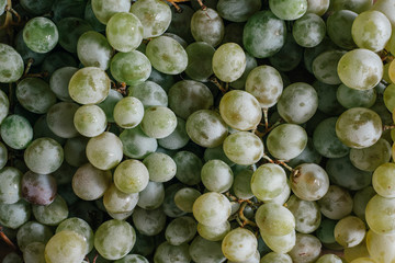 White wine grapes background. Ripe grapes