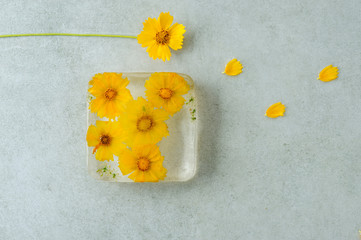 Frozen ice cube with flower insideon the gray background.