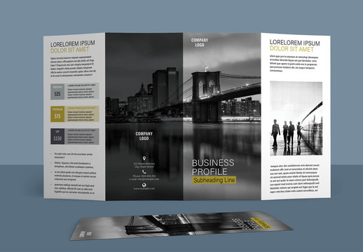 Four Fold Brochure Layout with Gold Accents