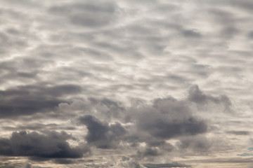 Obraz premium Cloudy sky texture background