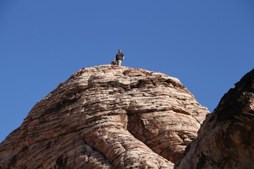 mountain clambers on top of rock mountain