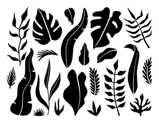 Black silhouette of monster leaves and palm trees, tropical plants in modern flat style. Exotic leaves set. Illustration on white background. 
