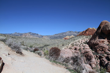 strange red rocks has desert bushes