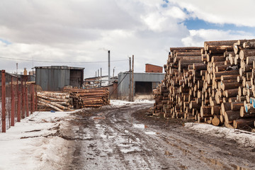 Pile of logs on sawmill