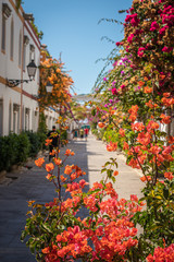 Flowers in Mogan