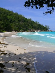 Seychelles, Indian Ocean, Praslin Island, east coast, Anse Georgette beach