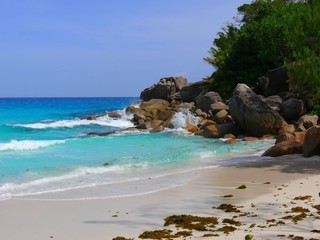 Obraz premium Seychelles, Indian Ocean, Praslin Island, east coast, Anse Georgette beach